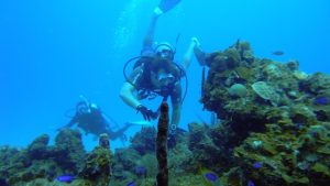 plongée sous-marine